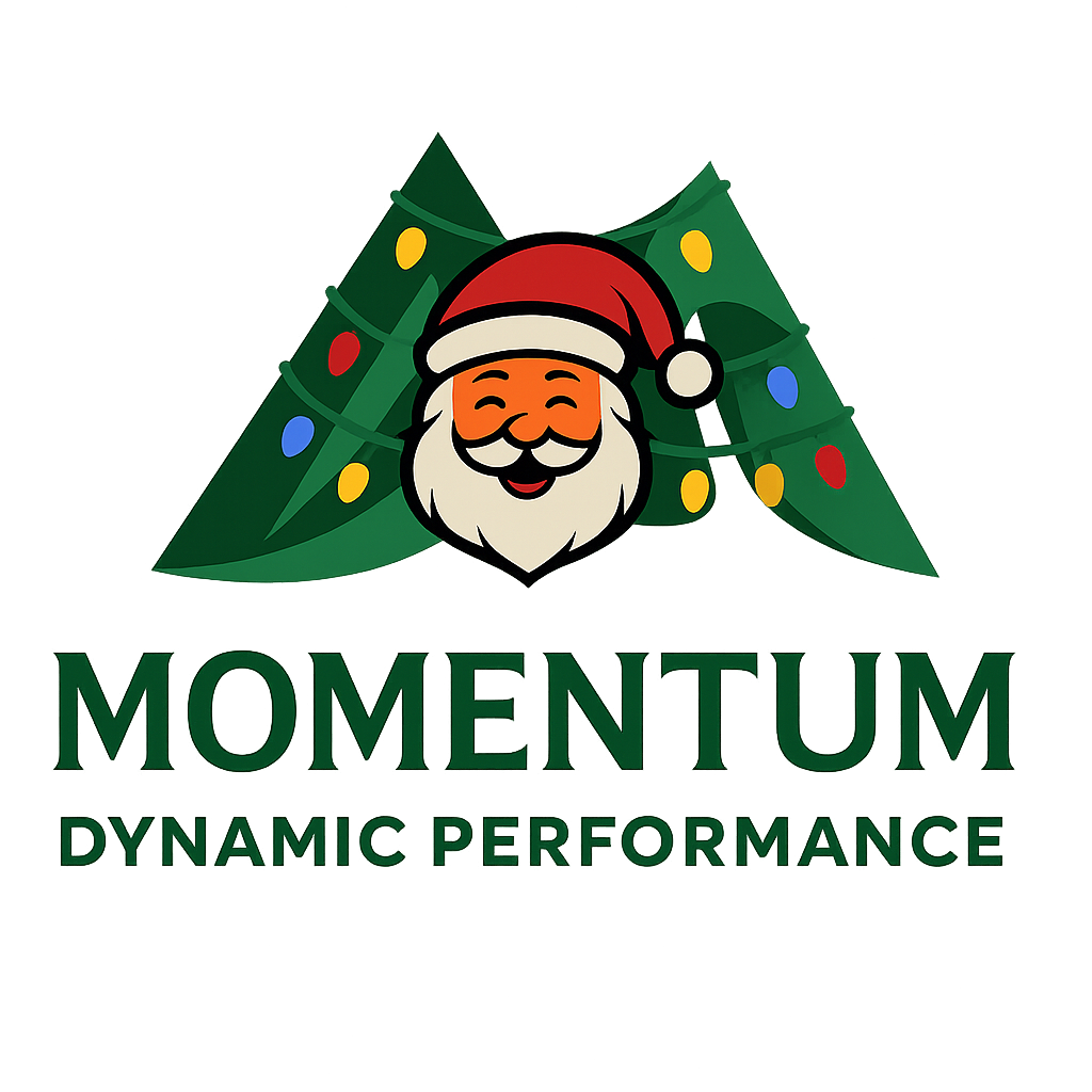 Momentum Dynamic Performance